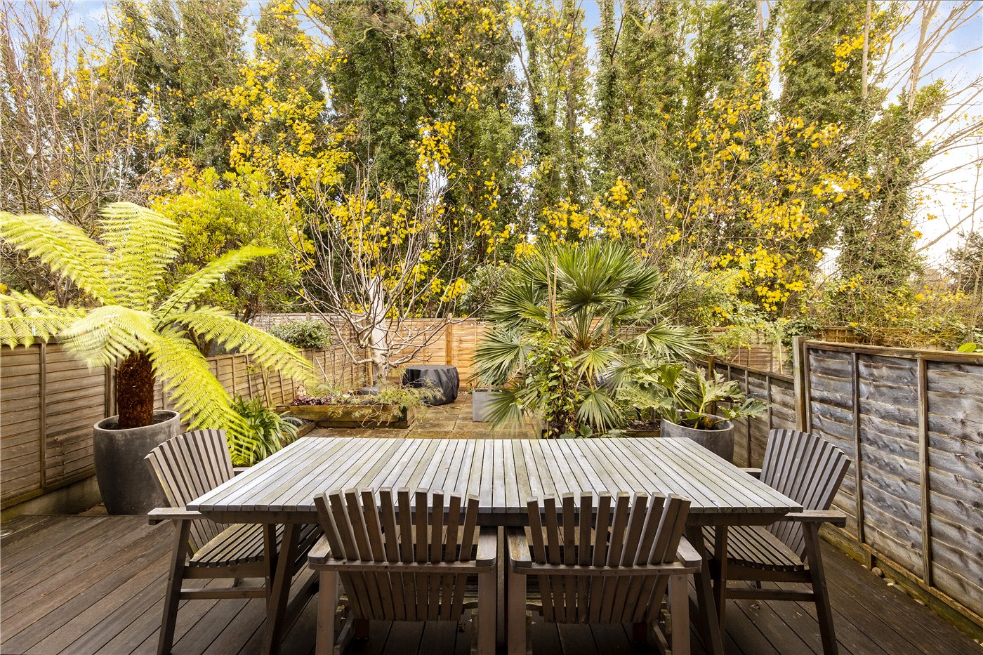 Garden